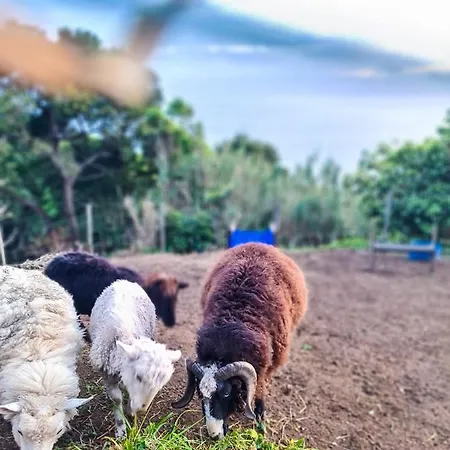 Quinta Do Caminho Da Igreja Ter-casas De Campo ולאס