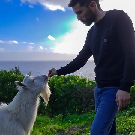Vakantieboerderij Quinta Do Caminho Da Igreja Ter-casas De Campo
