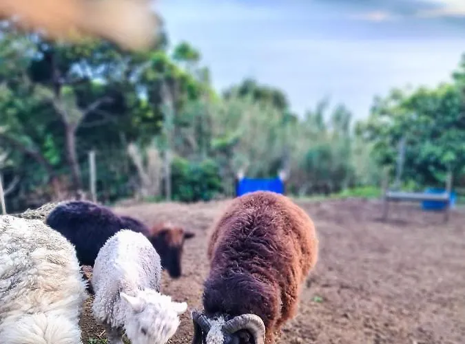 Quinta Do Caminho Da Igreja Ter-casas De Campo Velas