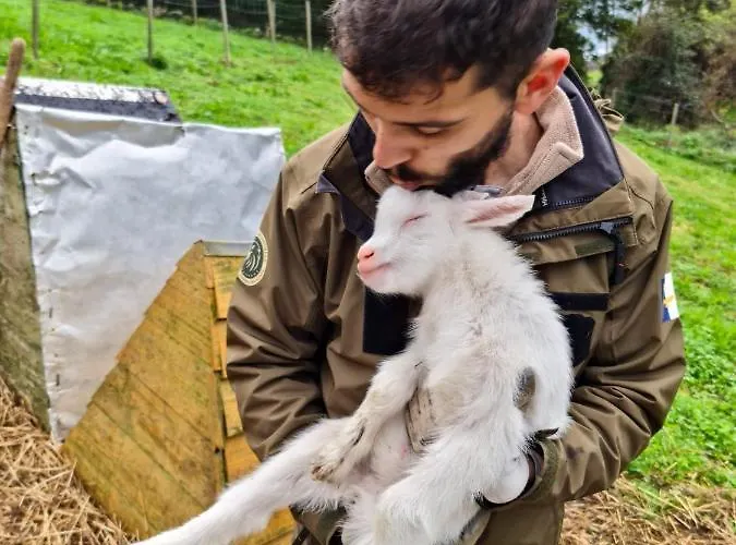 Quinta Do Caminho Da Igreja Ter-casas De Campo Gospodarstwo agroturystyczne