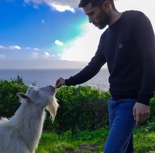 Gospodarstwo agroturystyczne Quinta Do Caminho Da Igreja Ter-casas De Campo