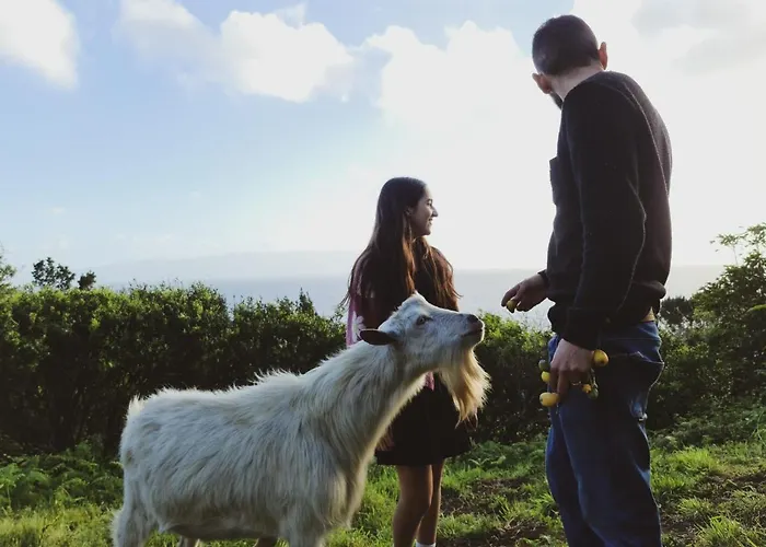 Quinta Do Caminho Da Igreja Ter-casas De Campo Gospodarstwo agroturystyczne *